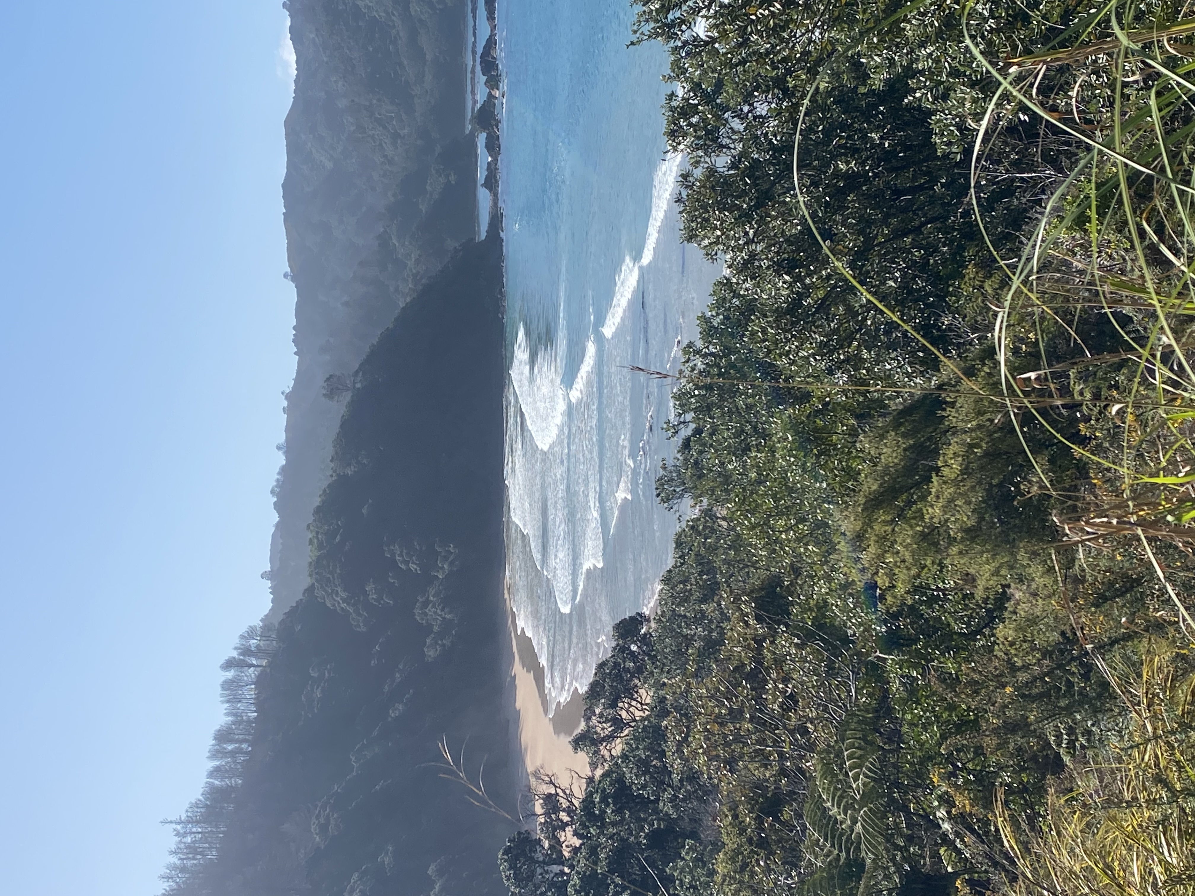 NEW ZEALAND - NORTH ISLAND